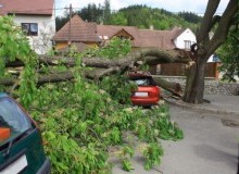 Kwikfynd Tree Cutting Services
ramcoheights