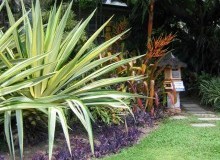 Kwikfynd Tropical Landscaping
ramcoheights