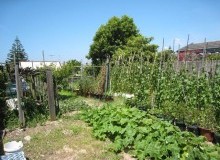 Kwikfynd Vegetable Gardens
ramcoheights